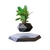 Levitating Air Bonsai Pot Rotation Flower Pot Planters Magnetic Suspension Floating Pot Potted Plant Home Desk Decoração na internet