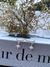 Ear Cuff Estrela - comprar online