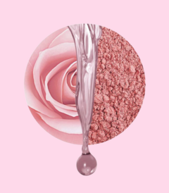 Refil Máscara Capilar Siàge Nutri Rosé 250g na internet