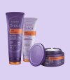 Combo Siàge Liso Intenso: Shampoo 250ml + Máscara 250g + Condicionador 200ml