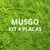 Kit 4 placas – 1 m² (Musgo Claro) - Jardim Vertical Artificial - comprar online