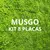 Kit 8 placas – 2m² (Musgo Claro) - Jardim Vertical Artificial - comprar online