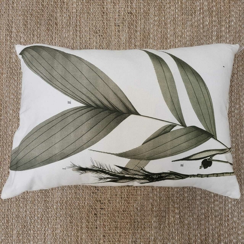 Almofada Cheia Botânica Cedro 55x35