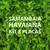 Kit 8 placas – 2m² (Samambaia Havaiana) - Jardim Vertical Artificial - comprar online