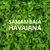 Placa Samambaia Havaiana 50x50cm Para Jardim Vertical Artificial - comprar online