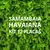 Kit 12 placas – 3m² (Samambaia Havaiana) - Jardim Vertical Artificial - comprar online