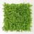 Placa Cipreste 50x50cm Para Jardim Vertical Artificial - loja online