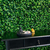 Imagem do Kit 8 placas – 2m² (Jardim) - Jardim Vertical Artificial