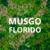 Placa Musgo Florido 50x50cm Para Jardim Vertical Artificial - comprar online