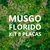 Kit 8 Placas Musgo Florido Jardim Vertical Artificial - comprar online