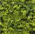 Placa Outono 50x50cm Para Jardim Vertical Artificial - loja online