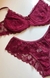 Conjunto Flora na internet