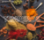Banner de Sabor da Terra | Descontos com até 70%