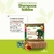 Shampoo Sólido Mana - comprar online