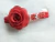 Tiara Luxo Rosa