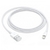 CABLE USB A LIGHTNING 2 M - comprar online