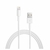 CABLE USB A LIGHTNING 2 M en internet