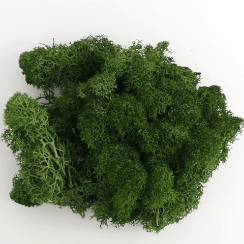 Musgo artificial - Verde escuro