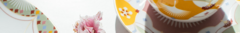 Banner da categoria Coleção Voo