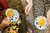 Banner rotativo 2