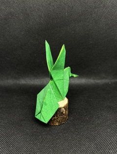 Colibrí en internet