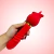 Vibrador Jane na internet