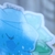 Flor Azul en internet