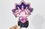 Yugi Moto Cute