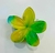 Presilha Flor