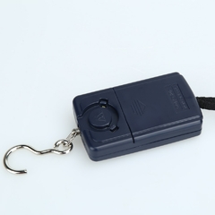 Balança de gancho de pesca eletrônica 40kg/10g balança de bolso digital pendurada para anzóis de pesca ferramenta equipamento de pesca - comprar online