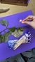 Incenso Satya Nag Champa - comprar online