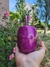 Mate con resina - comprar online