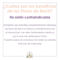 FLORES DE BACH - comprar online