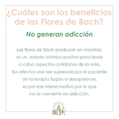 FLORES DE BACH en internet