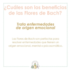 Imagen de FLORES DE BACH