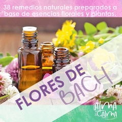 FLORES DE BACH