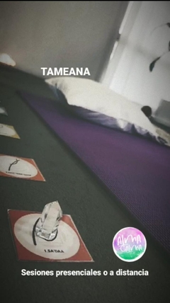 Imagen de TAMEANA