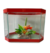 BETEIRA COM PEIXE