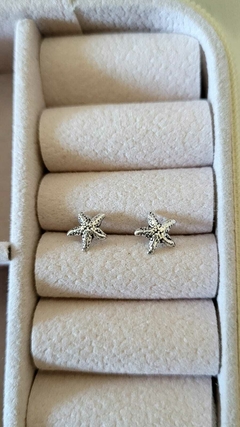 Pasantes Estrella de Mar