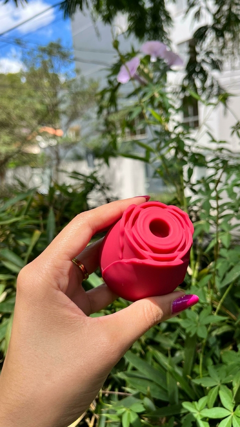 Estimulador de clitóris 10 modos de pulsação - Recarregavél - comprar online