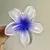 Imagem do Presilha flor BBB