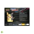 BRINQUEDO BOX POKÉMON MORPEKO V-UNIÃO - 32197 COPAG (54 CARTAS TOTAL) - comprar online