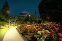 Farola LED Solar LX050 en internet