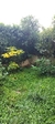 Venta Departamento 2 Ambientes Reciclado Nuevo Villa Crespo - comprar online