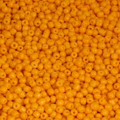 Miçangão de Vidro 6/0 30g