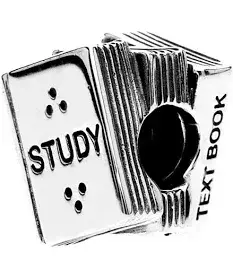 Berloque de Prata Separador Study Book - Astuciosa Artigos Femininos 