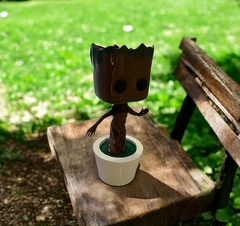 Maceta Groot