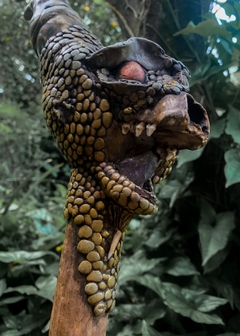 Imagem do Cajado do Dragão - para quebrar as intolerâncias