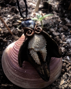 Amuleto Garra de Siri