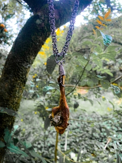 Image of Colar - Pata de Coruja segurando a Pirita